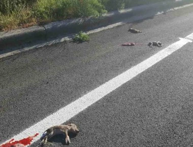 Συνελήφθη γνωστός ηθοποιός- Οδηγούσε υπό την επήρεια αλκοόλ και προκάλεσε ατύχημα (φωτο)